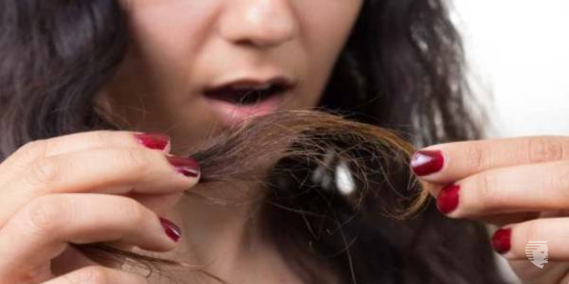 Split Ends are Weakening your Hair Strands Find out Ways to Protect Your Hair
