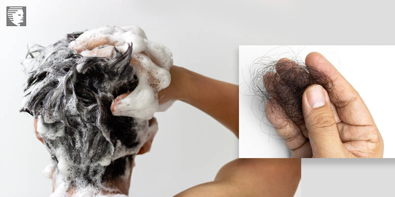 Do Shampoos for Hair Loss Help to Curb HairFall? - Find out the Facts here