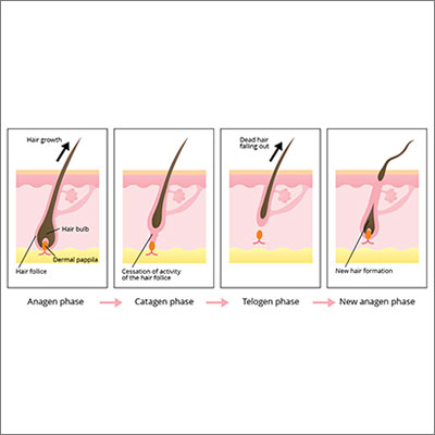 THE SCIENCE BEHIND HAIR REGROWTH